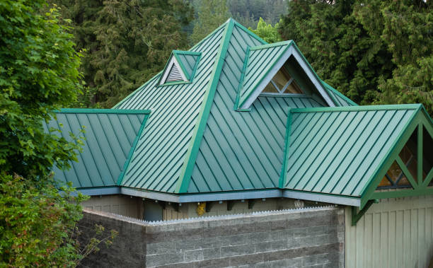 Best Skylight Installation and Repair  in Van Wert, OH