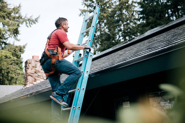 Best Asphalt Shingle Roofing  in Van Wert, OH